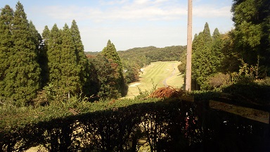 スタート前のカートの列