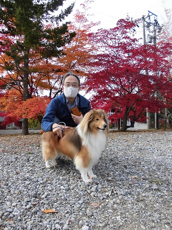 ラヴェルと紅葉