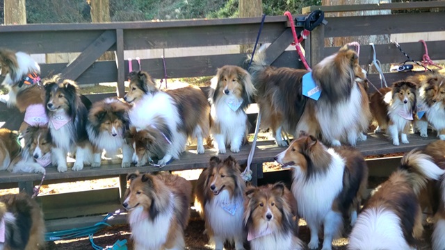 リトルエンジェルオフ会