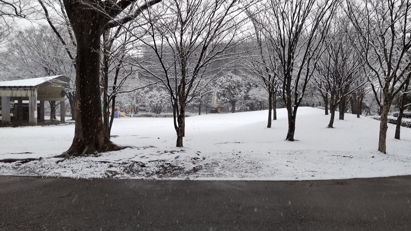 雪の公園