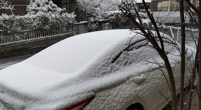 雪の車