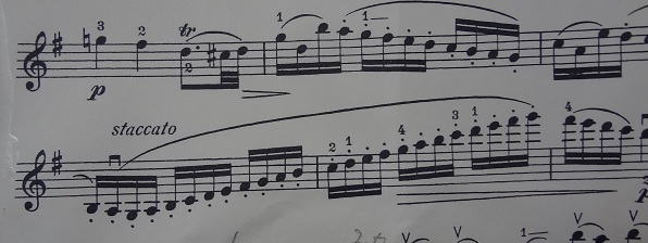 ダウンボウスタッカート