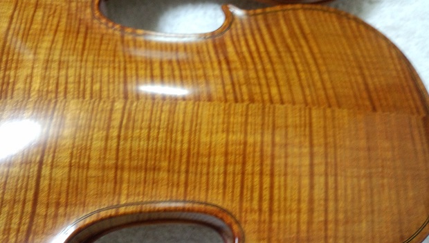 メープルの輝き