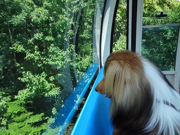 ゴンドラのラヴェル